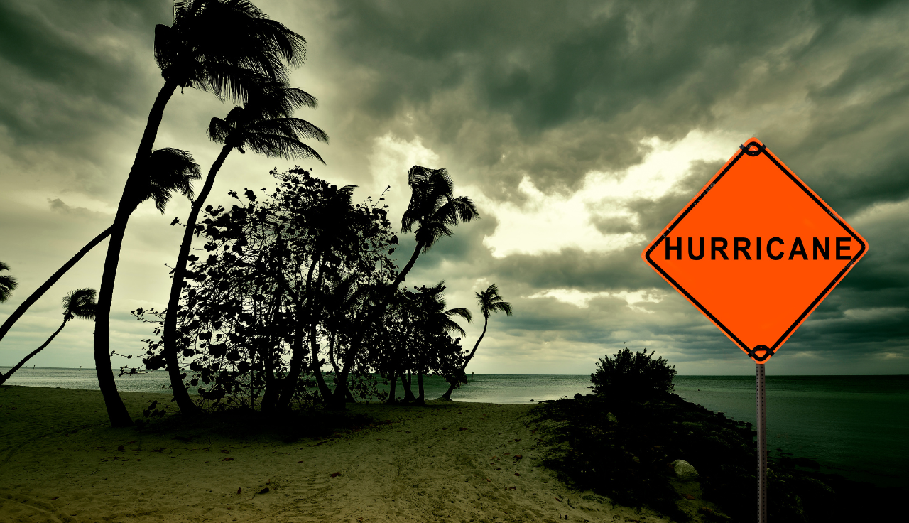 It's Hurricane Season: What Should You Do To Keep Your Car Protected?