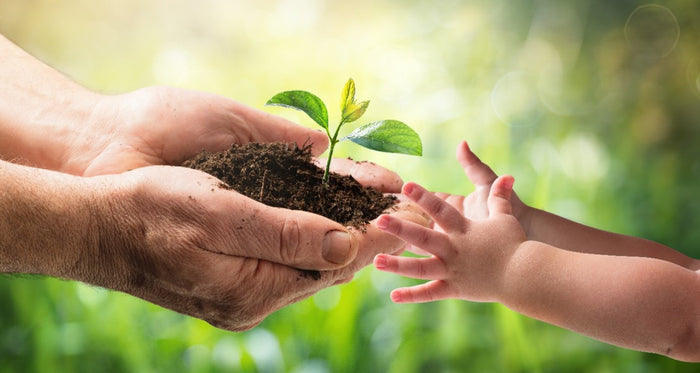 Simple Yet Powerful Ways to Take Care of the Environment