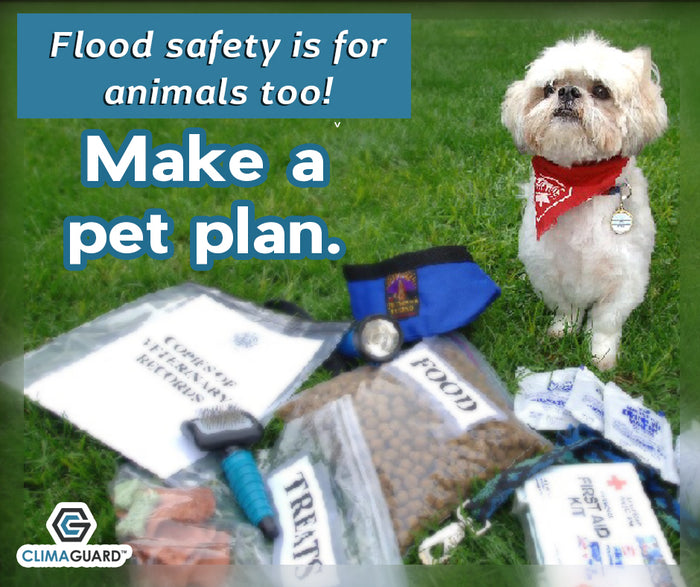 Pet Evacuation Plan: Eight Steps to Get Started